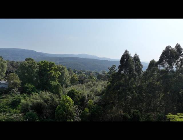 LAND FOR SALE IN MONTROSE